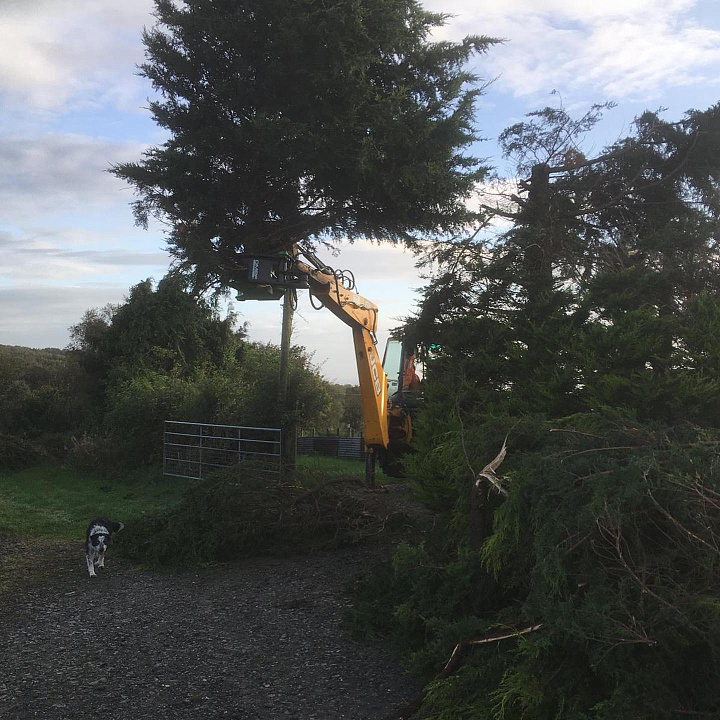 BI300 Лесные ножницы 7-18тн